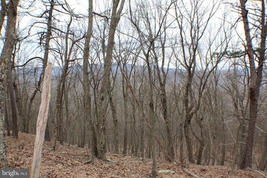 25 Cove Creek, Capon, WV 26801 - photo 3