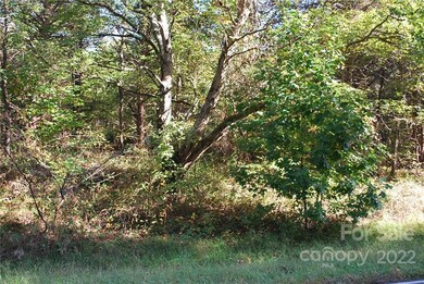 000 Friendship Rd, Statesville, NC 28625 - photo 4