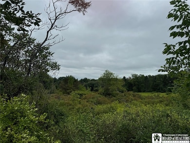 3732 Falconer Kimble Falconer-Kimball Stand Rd, Falconer, NY 14733 - photo 3