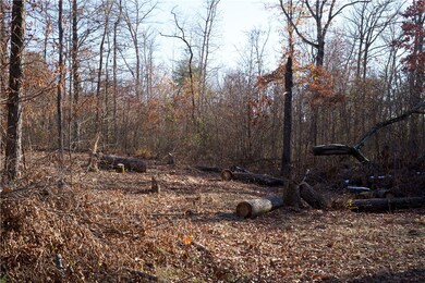 0 Big Spring Rd unit 1235038, Winslow, AR 72959 - photo 5