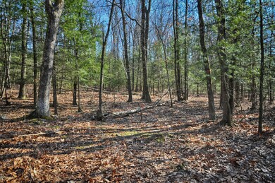 0 Lr 45042 Sugar Hollow Rd unit PM-75864, Saylorsburg, PA 18353 - photo 5