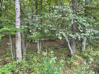IMG_1390