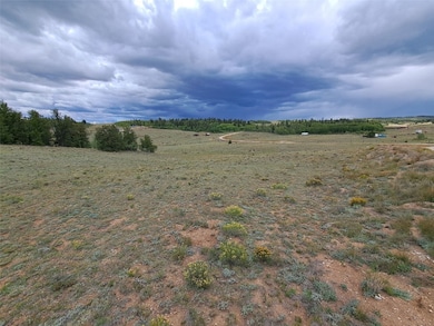 900 Remington Rd, Jefferson, CO 80456 - photo 3