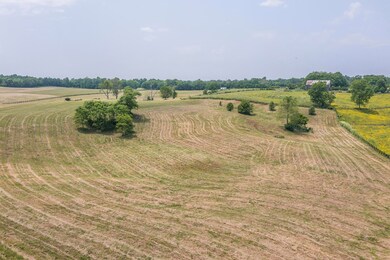 2205 Patterson Rd, Versailles, KY 40383 - photo 5