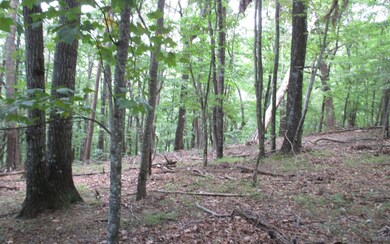 Additional View