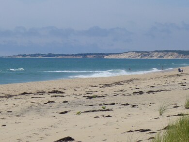 0 Black Point Beach Lot, Chilmark, MA 02535 - photo 5