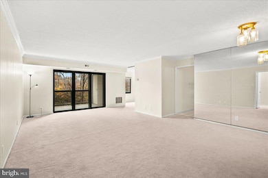 203 Yoakum Pkwy unit 519, Alexandria, VA 22304 - photo 4