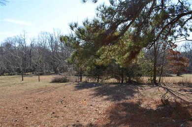 0 Mount Vernon Hickory Mountain Rd unit 2265062, Siler City, NC 27344 - photo 3