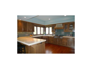 Fisher Peckel DCS appliances! Travertine tops, cus