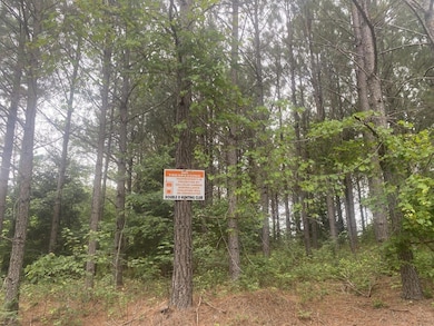 Big Opposum Creek Rd, Waynesboro, TN 38485 - photo 2