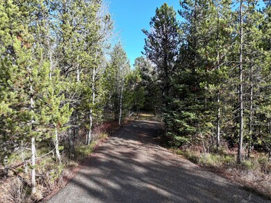 12786 Chuckwagon Rd unit 5, Donnelly, ID 83615 - photo 7