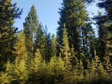 TBD Quinns Meadow Rd, Colville, WA 99114 - photo 3