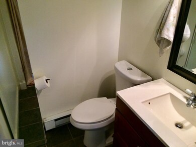 13403 Rabbit Run Terrace, Union Bridge, MD 21791 - photo 4