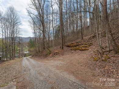 99999 Molasses Way unit 18, Waynesville, NC 28785 - photo 3
