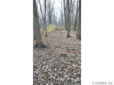 Land/Lot