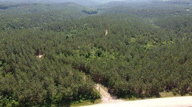 0 Sinking Creek Prong, Linden, TN 37096 - photo 5