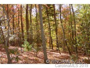 Mature Hardwoods everywhere.