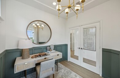 Ample study space *Model representation
