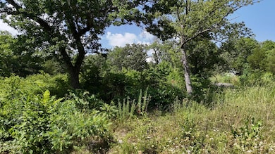 lots walnut w 7-6-25