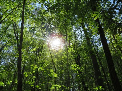 Lot 13 Ledbetter Ln, Walhalla, SC 29691 - photo 3