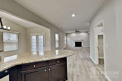 1046 Countess Ln, Spring Hill, TN 37174 - photo 5