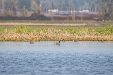 35308 Riverside Ln, Scappoose, OR 97056 - photo 4