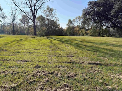 B-1 Louisiana 415, Ventress, LA 70783 - photo 3