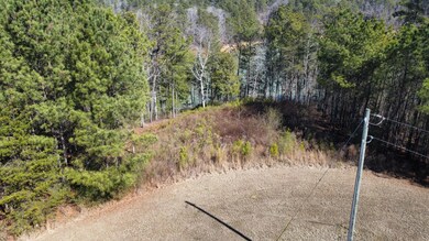 Lot 59 Sipsey Overlook Rd, Double Springs, AL 35553 - photo 7