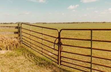 000 SW 180th Ave, Dunnellon, FL 34432 - photo 5