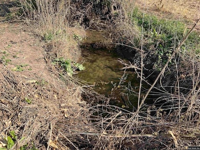 Parcel 3 Spring Saunders County Acreages County Rd, Yutan, NE 68073 - photo 5