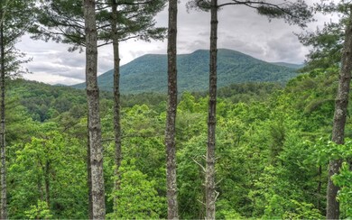 341 Baylor Dr, Cherry Log, GA 30522 - photo 2