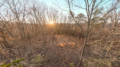 McLemore Cove Ridge-5