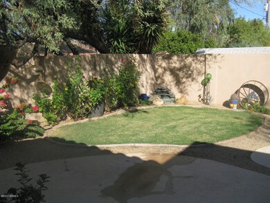 PROFESSIONAL LANDSCAPE YARD