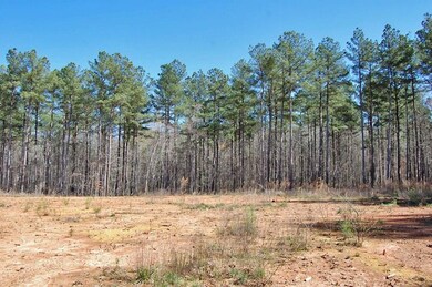 lot 7 Hawkins Rd, Hurdle Mills, NC 27541 - photo 6