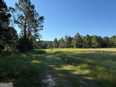 0 Sunbury Rd unit TRACT 4 10599355, Daisy, GA 30417 - photo 4