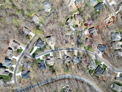 DJI_0711