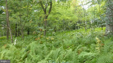 0 Top of Mountain Rd, Moorefield, WV 26836 - photo 2