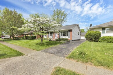 8-web-or-mls-011A3313