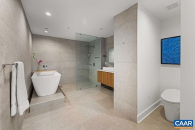 218 W Water St unit 705, Charlottesville, VA 22902 - photo 5