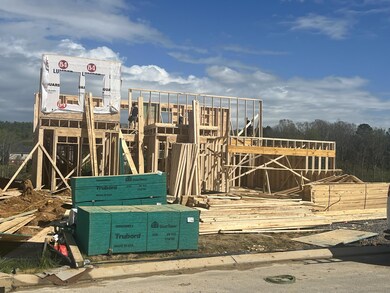 Framing Underway!