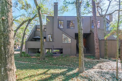 289 Litchfield Ln unit 50, Houston, TX 77024 - photo 4