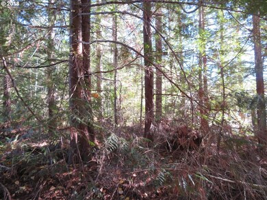 0 Wayne Rd W unit 1 18389154, Seabeck, WA 98380 - photo 3