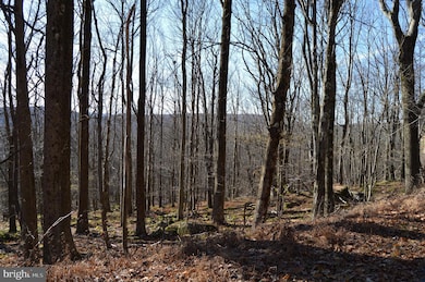 Lot 154 Daisey Dr, Terra Alta, WV 26764 - photo 3