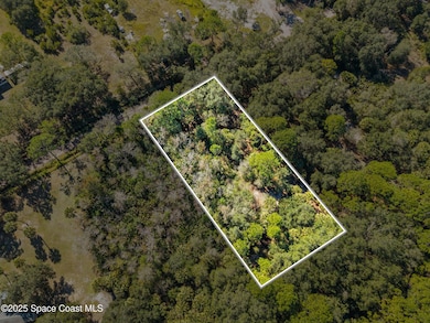 01 Bear Trail, West Canaveral Groves, FL 32926 - photo 4