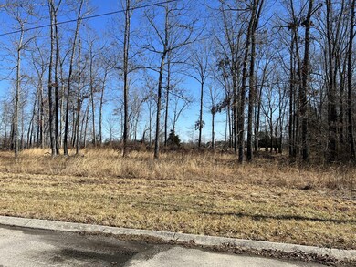 0 Whispering Winds Dr unit RTC2353344, Manchester, TN 37355 - photo 4