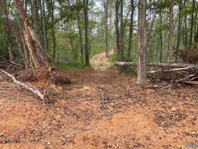 21350 Holland Rd, Athens, AL 35614 - photo 3