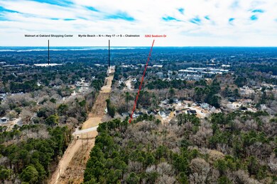 3262 Seaborn Aerial-4