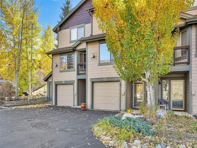 283 Kestrel Ln unit 283, Silverthorne, CO 80498 - photo 4