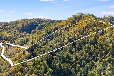 000 Hamburg Rd unit 17, Mars Hill, NC 28754 - photo 5