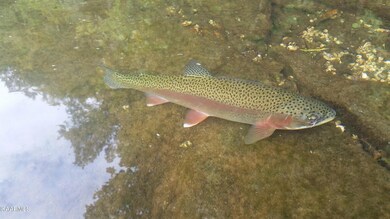 0 Tampico Rd, Rutledge, TN 37861 - photo 4